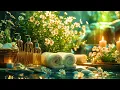 Download Lagu Sleep Music for Deep Sleep, Anxiety and Depressive States, Heal Body, Mind