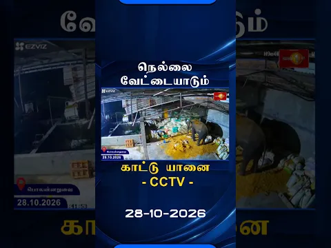 நெல்லை வேட்டையாடும் காட்டு யானை - CCTV #polonnaruwa #cctv #lka