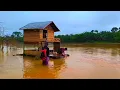 Download Lagu BERBURU IKAN DI RUMAH RAKIT DI SAAT SUNGAI MUSIM BANJIR