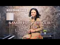 Download Lagu Riza Pramahari - PKJ 184 Nama Yesus Termulia #lagurohanikristen #deepworshipseries