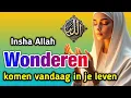 Download Lagu Vrijdag Zegeningen: Deze Qur’an-doa brengt wonderen, voorspoed en rust in je leven