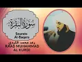 Lagu سورة البقرة كاملة للقارئ رعد الكردي 2021 Surah Al Baqarah Raad Muhammad Al Kurdi