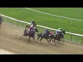 Race 7 Master 2026 08 06