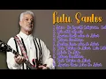 Download Lagu Lulu Santos-Resumo dos sucessos principais para 2024-Elogiado