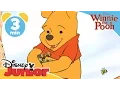 Download Lagu The Mini Adventures of Winnie the Pooh | Lullabee | @disneykids