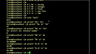 Example - echo vs printf in bash