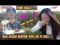 Download Lagu YUMI KAGET ADA OLEH2 BENTUK ITU DI BALI
