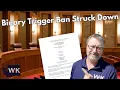 How a Minnesota Court of Appeals Just Struck Down Their Binary Triger Ban
