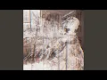 Distorted Frequency No 3