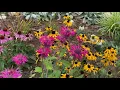 3 Deer Resistant Perennials for the Garden