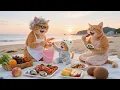 Lagu Gember Kittens Ontmoet Oma 💕, Moederkat’s Ontspannende Avontuur aan Zee 🐾🌊 | Grappige Kattenvideo’s