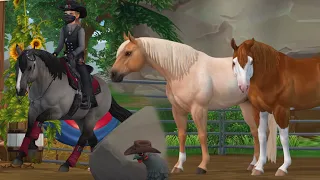 New Horses Coming + Western Festival Spoilers in Star Stable