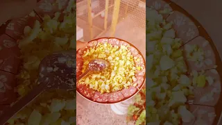 سر تزاوج طيور الحب البادجي طيورالحب طيور محمية 