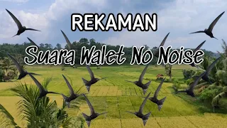 Download REKAMAN SUARA WALET NO NOISE by AZ KAUR MP3