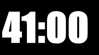 41 MINUTE TIMER LOUD ALARM