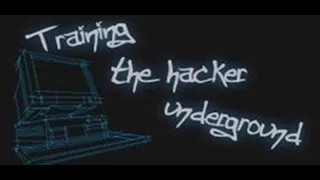 Hack This Site Basic 1 Level 1 the idiot test