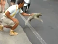 Sloth Crossing the Street - I Believe I Can Fly Version