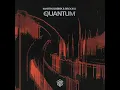 Martin Garrix & Brooks - Quantum (Extended Mix)