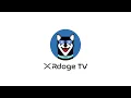 XRdoge RIPPLE SWELL EVENT BRAD GARLINGHOUSE SCHMECKLES XRdoge AIRDROP XRPL