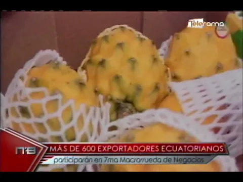 Más de 600 exportadores ecuatorianos participarán en 7ma Macrorueda de Negocios