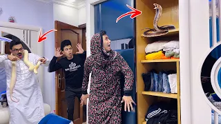 لما امك تلاقي ثعابين في البيت السلسيلي 