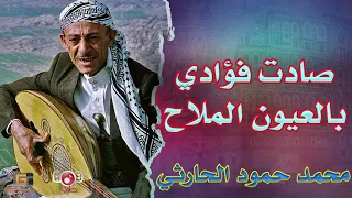 صادت فؤادي بالعيون الملاح   عملاق الفن محمد حمود الحارثي دندنها