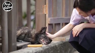 موسيقى حزينة وقصة مؤثرة بين كلب وصاحبته Sero Produktion INSAN 