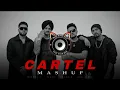 Cheema Y CARTEL MASHUP | Sidhu Moose Wala x Bohemia x Gur Sidhu | Punjabi Mashup 2026