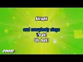 The Divine Comedy - National Express - Karaoke Version from Zoom Karaoke