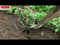 THIS SIMPLE TRICK WILL MAKE YOUR GARDEN PRACTICALLY WEED-FREE