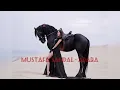 Mustafa Sandal - Araba (cover by Moка)