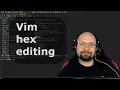Edit binary files in vim - TORGiren DevOpses