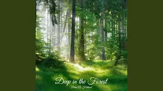 Download Deep in the Forest MP3