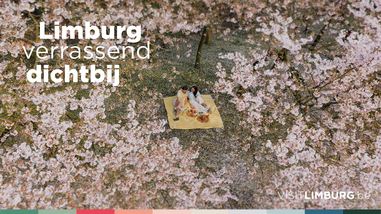 Visit Limburg — Visit Limburg - Find beauty and book your stay (YouTube video ad)
