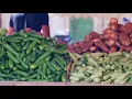 Zenobia زنّوبيا - KSR KSR KSR - كسر كسر كسر