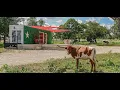 Best Places To Stay in Fredericksburg Texas 2024