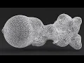 Phanotyp - metaballs forcedistribution