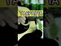 Download Lagu TARPAIMA part 1|Osen hutasoit #tarpaima #fyptiktok #tiktokviral #tiktokvideo