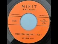 Ooh Poo Pah Doo Part 1   Jesse Hill