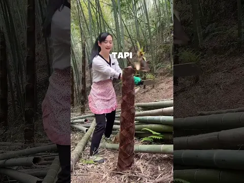 Bambu Yang Bisa Di Makan!