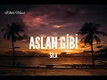 Sıla / Aslan Gibi (Lyrics)