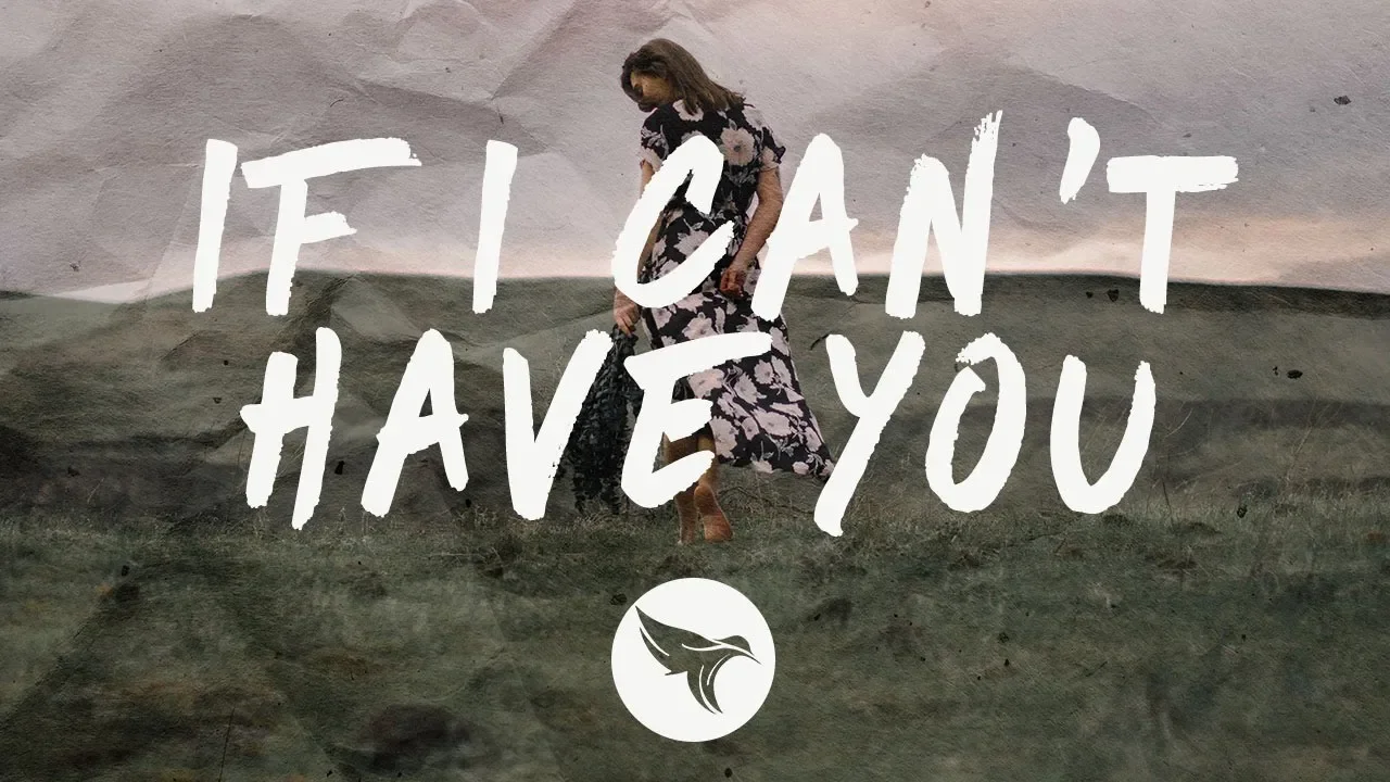 Shawn Mendes - If I Can't Have You (Lyrics) Gryffin Remix