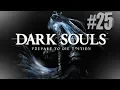 I HATE Ghosts - Dark Souls Part 25