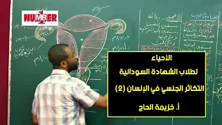 الأحياء التكاثر الجنسي في الإنسان 2 أ خزيمة الحاج حصص الشهادة السودانية 