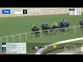 Gulfstream Park August 16 2026 Race 5