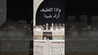 وليغلبن لطفه خوفي    دندنها