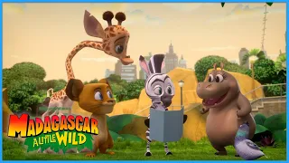 The Gang Search For Treasure!🪎🗺️ | DreamWorks Madagascar