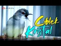 Download Lagu MASTERAN CIBLEK CRISTAL GACOR FULL NEMBAK