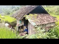 Download Lagu Masyaalloh nenek ini tinggal sendiri di rumah tengah sawah⁉️puluhan tahun tidak mempunyai keturunan.