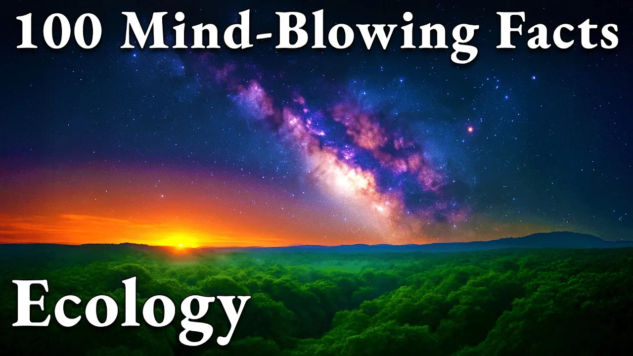 2+ Hours of Most Relaxing ECOLOGY Facts to Fall Asleep To
